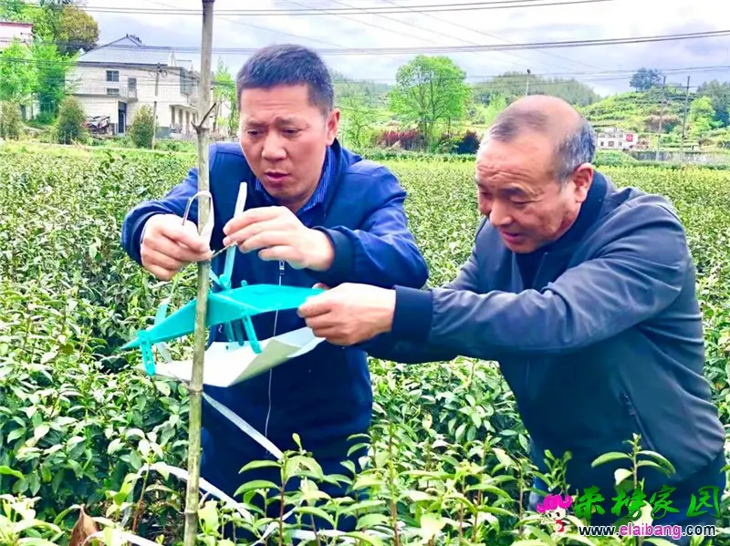 微信图片_20210423215635.webp