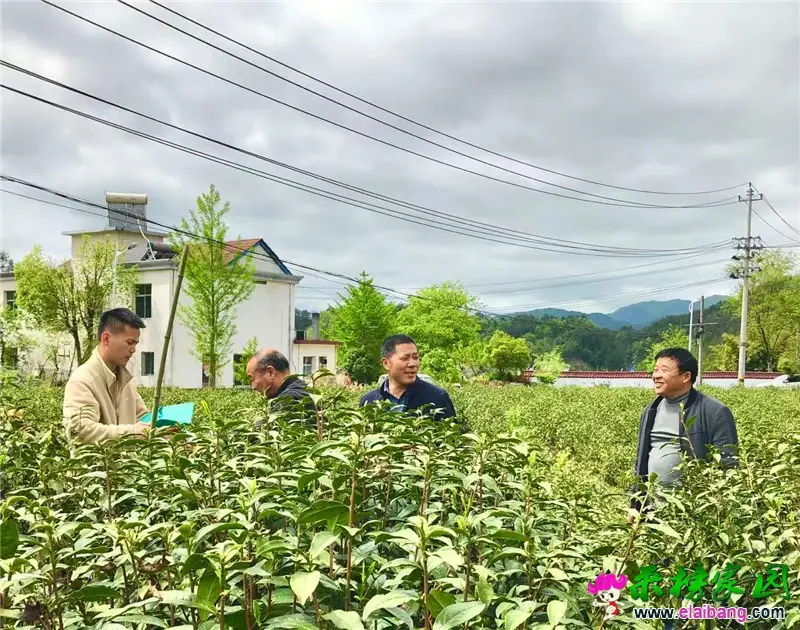 微信图片_20210423215633.webp