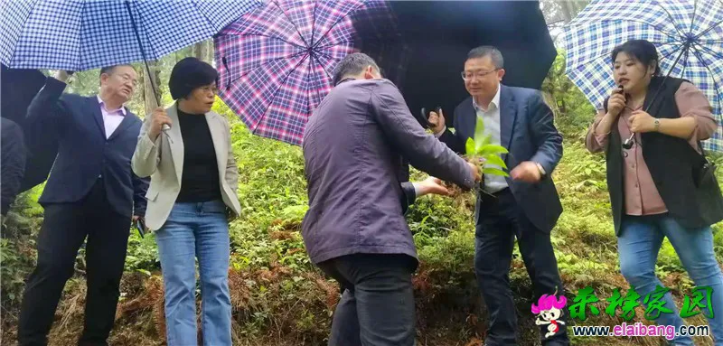 微信图片_20210424205340.webp