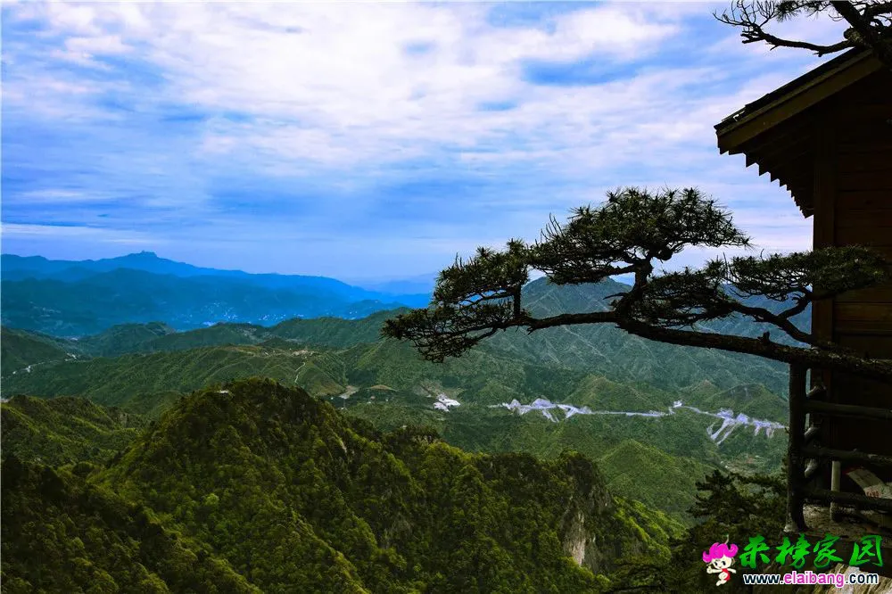 ae9e1488b1bdbcff9fac907c497fc546.webp