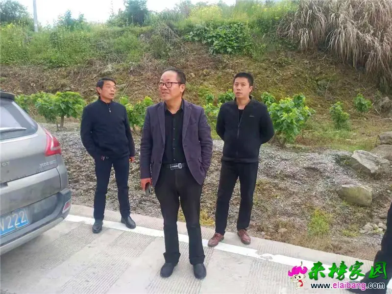 微信图片_20210426185748.webp