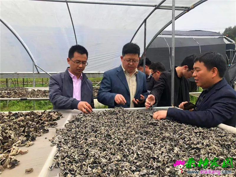 微信图片_20210427180017.webp