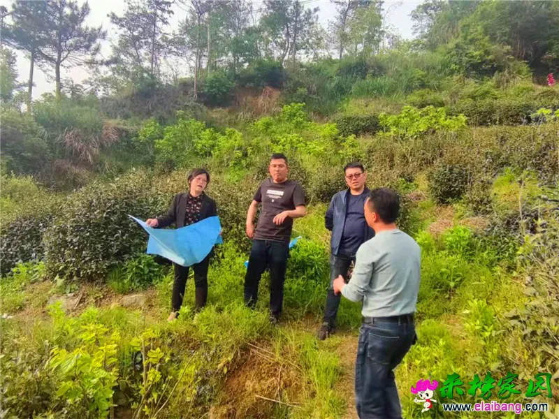 微信图片_20210428172951.webp