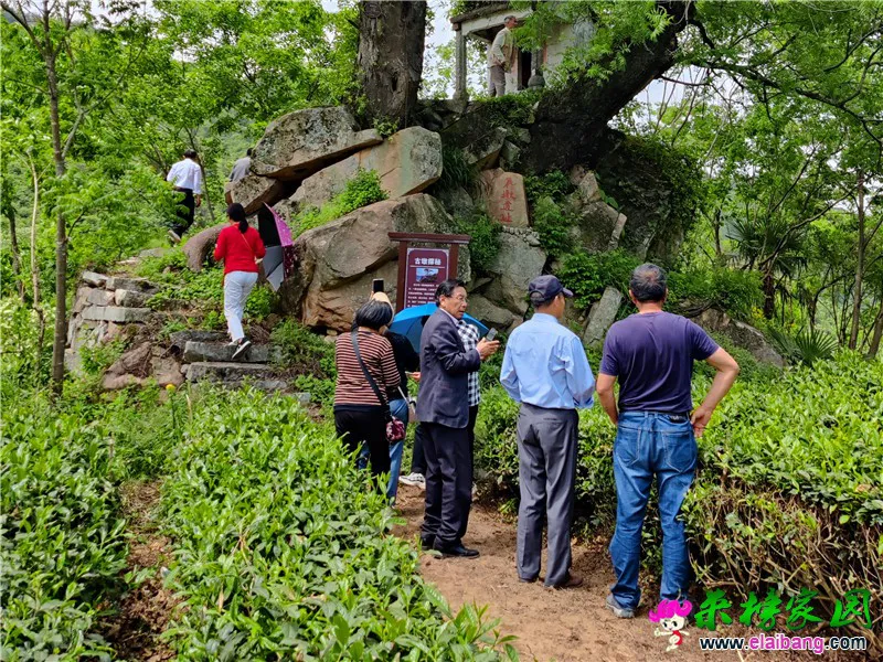 微信图片_20210507184059.webp