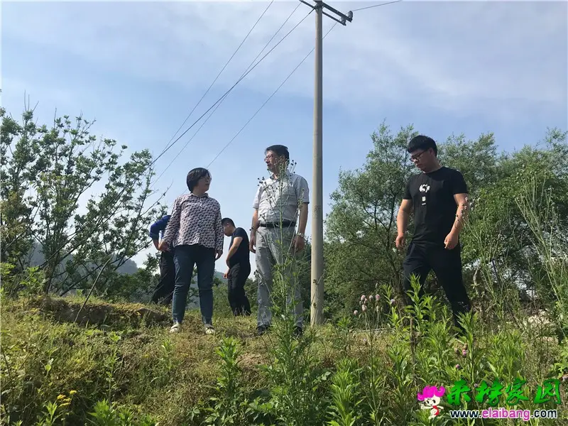 微信图片_20210510173638.webp