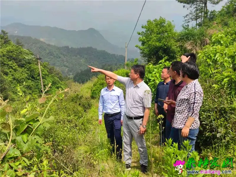 微信图片_20210510173633.webp