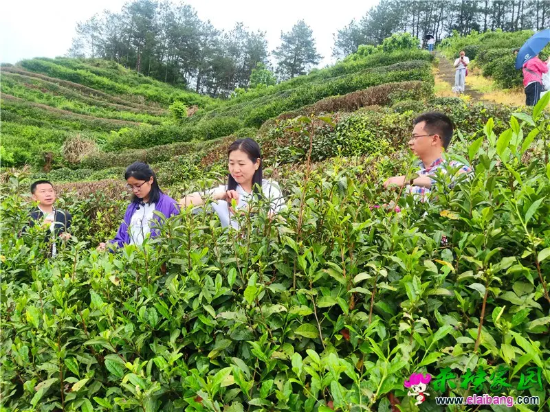 微信图片_20210514195842.webp