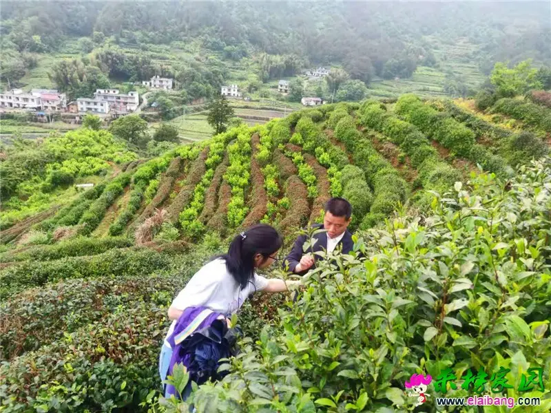 微信图片_20210514195839.webp