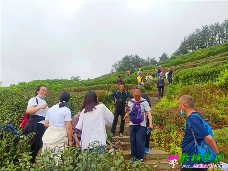 微信图片_20210514195828.webp