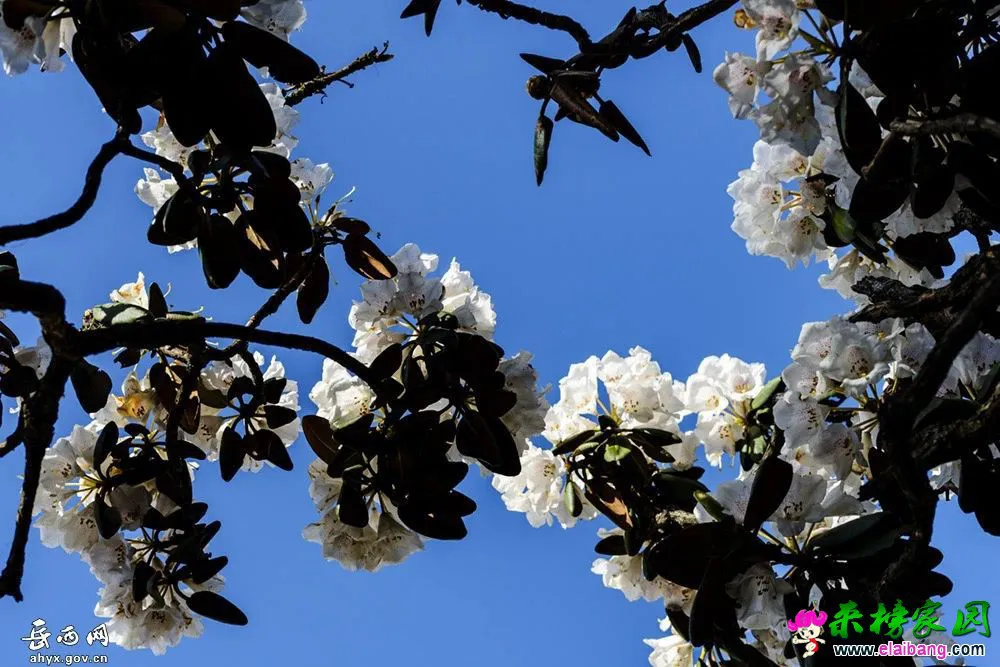 db3de600575a3d5bf8f8e6ee0dcfeebf.webp