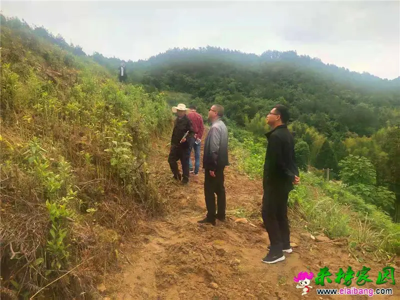 微信图片_20210520193411.webp