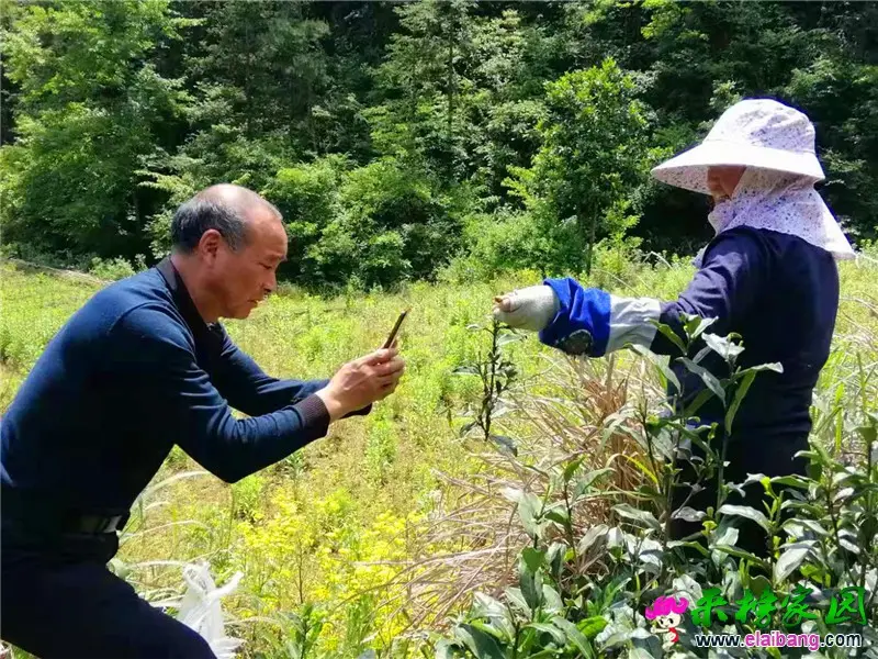 微信图片_20210522084945.webp