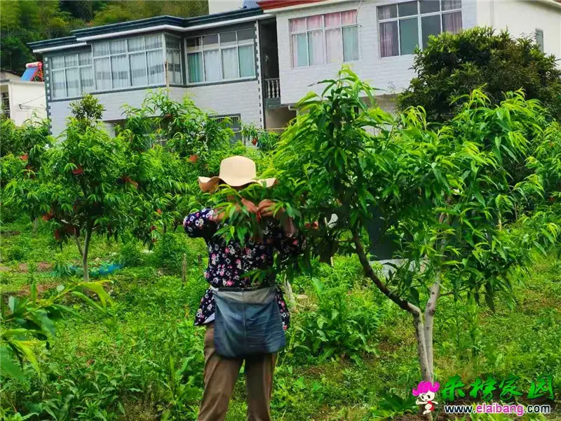 微信图片_20210522084911.webp