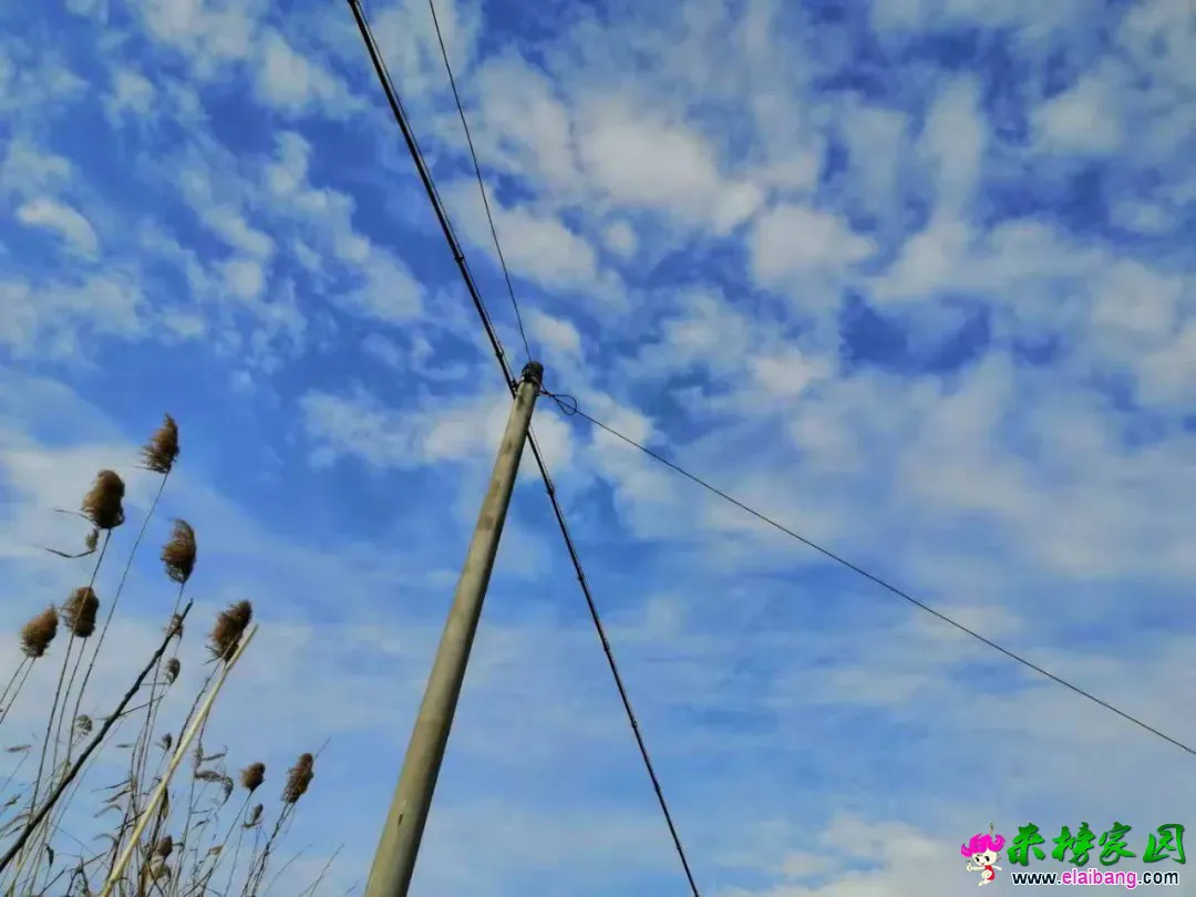 图片2.webp