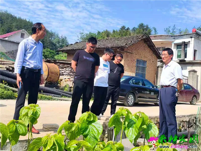 微信图片_20210524173108.webp