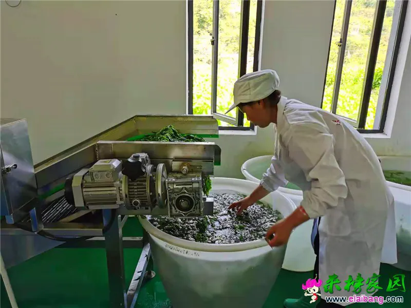 微信图片_20210524173110.webp