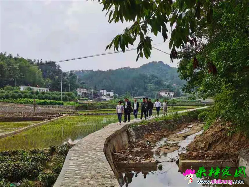 微信图片_20210524173102.webp