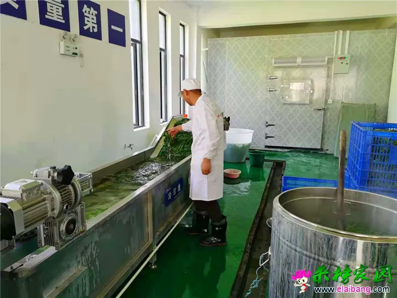 微信图片_20210524173112.webp