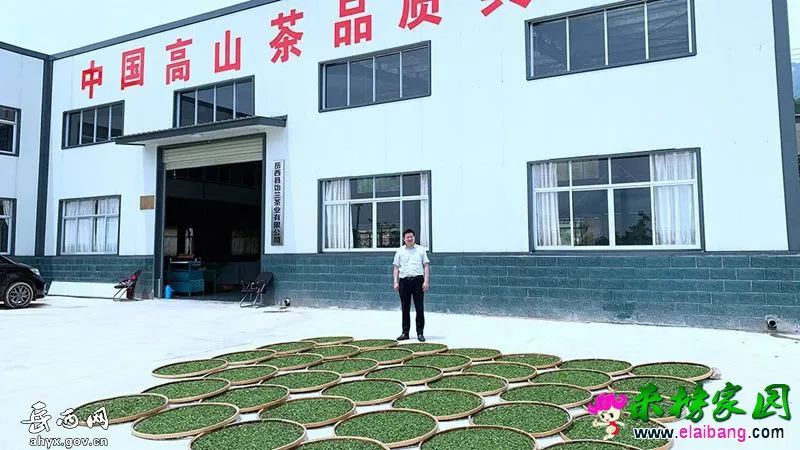 d60352df4f80ebf8db055b2ce2c5d1fe.webp