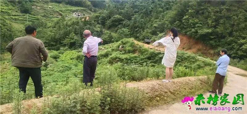 微信图片_20210527204134.webp