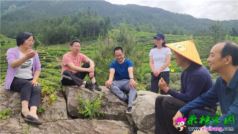 微信图片_20210527204202.webp