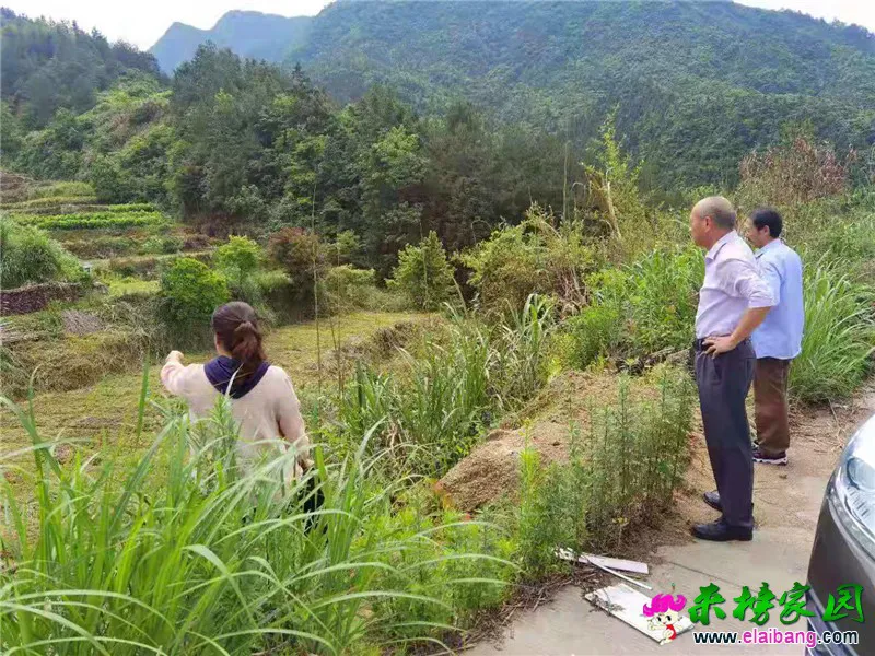 微信图片_20210527204132.webp