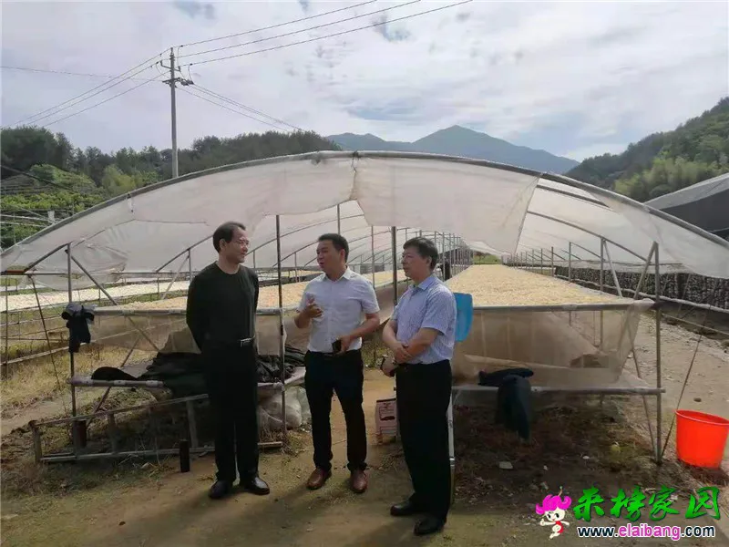 微信图片_20210527204119.webp