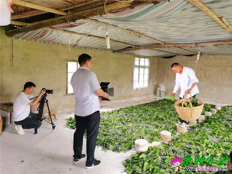 微信图片_20210527204221.webp