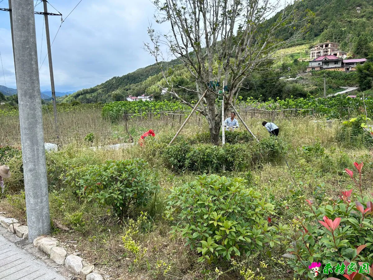 微信图片_20250929125003_195_147.webp