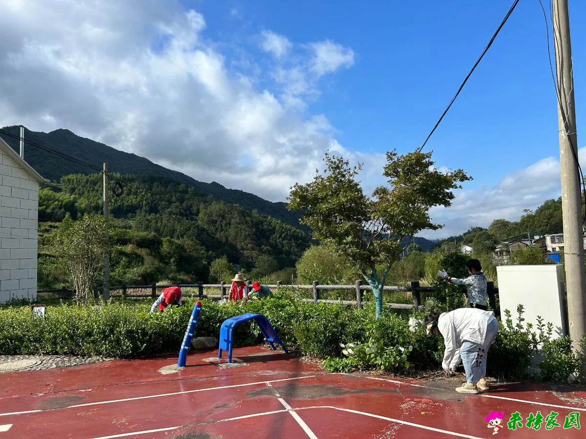 微信图片_20250929125005_197_147.webp
