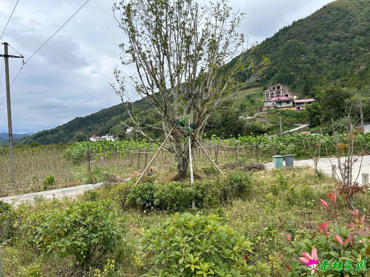 微信图片_20250929125019_201_147.webp