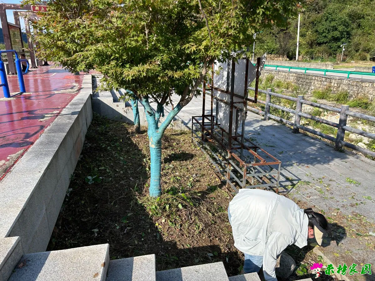 微信图片_20250929125025_203_147.webp