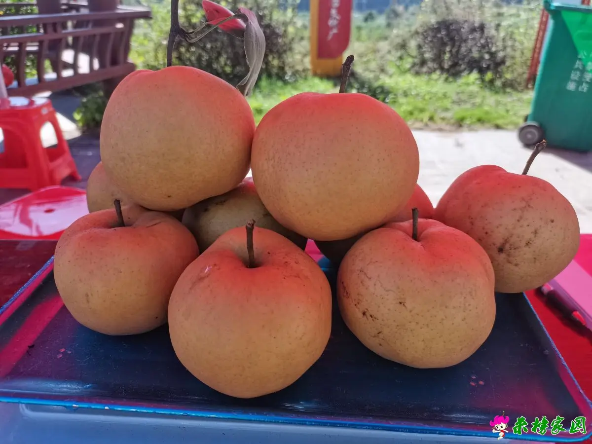 IMG_20250927_095304.webp