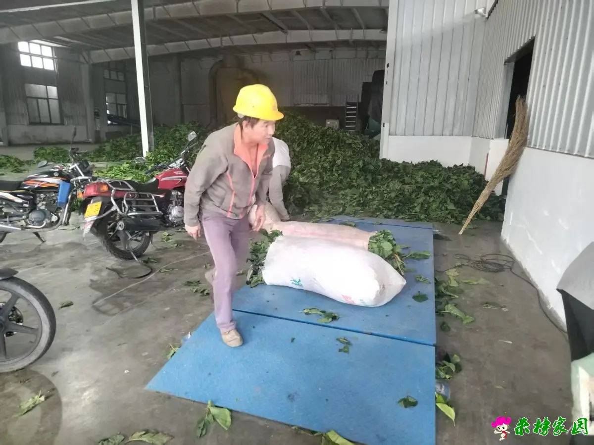 微信图片_2025-10-03_111405_643.webp