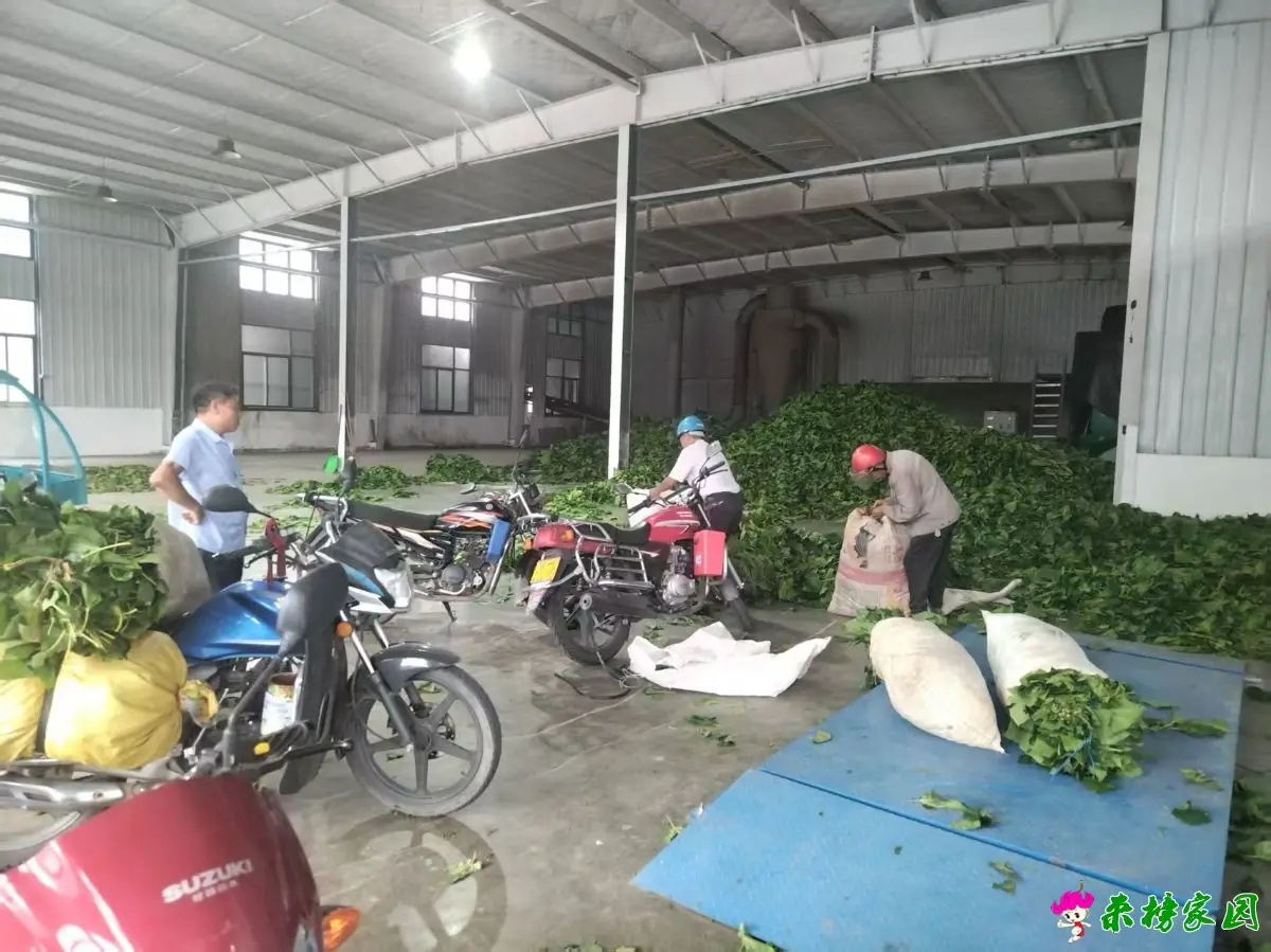 微信图片_2025-10-03_111416_109.webp