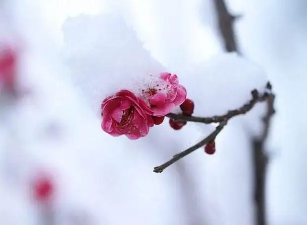 3007da5a9409b6dc6541788c7972be70.webp.webp