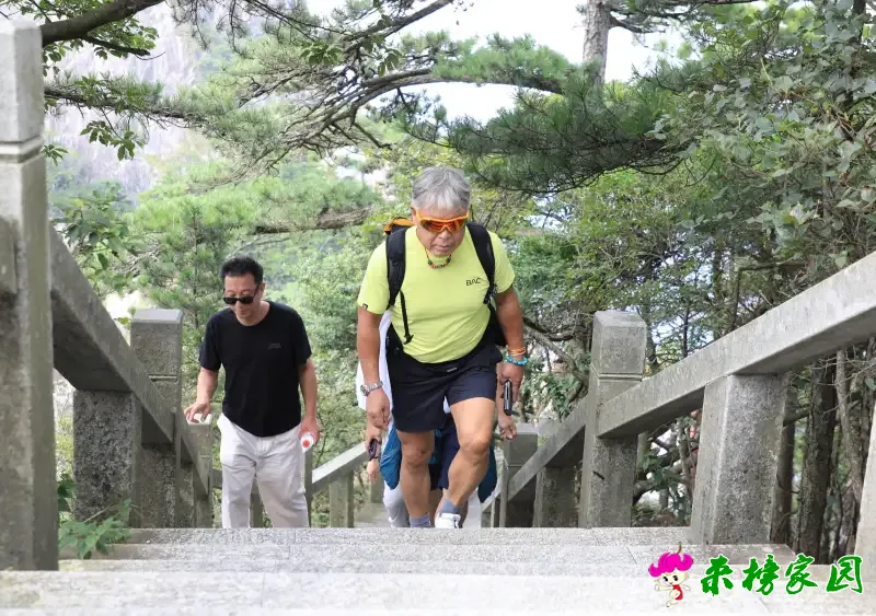 wanyun1759682260810.webp.webp