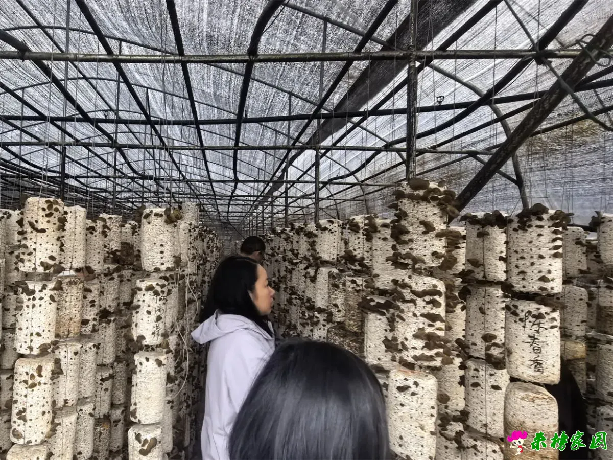 微信图片_20251015174051_338_132.webp