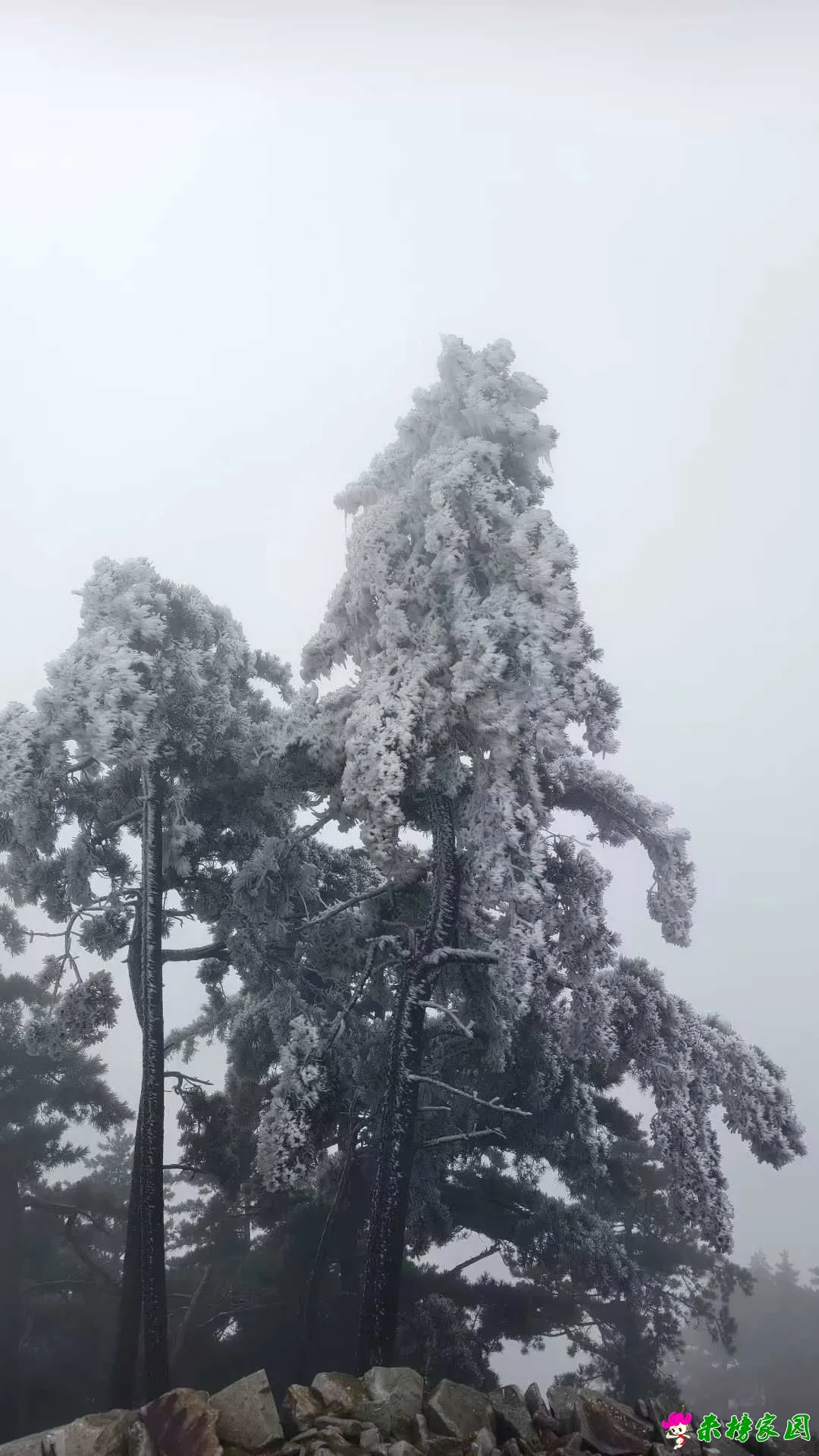 微信图片_2025-10-21_163558_541.webp