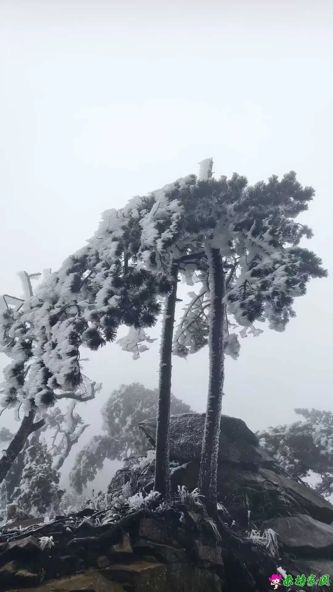 微信图片_2025-10-21_163601_293.webp