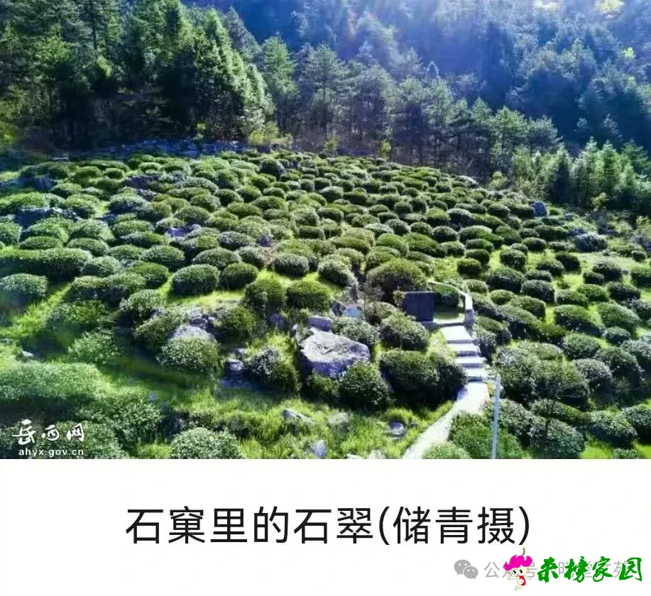 640 (1).webp