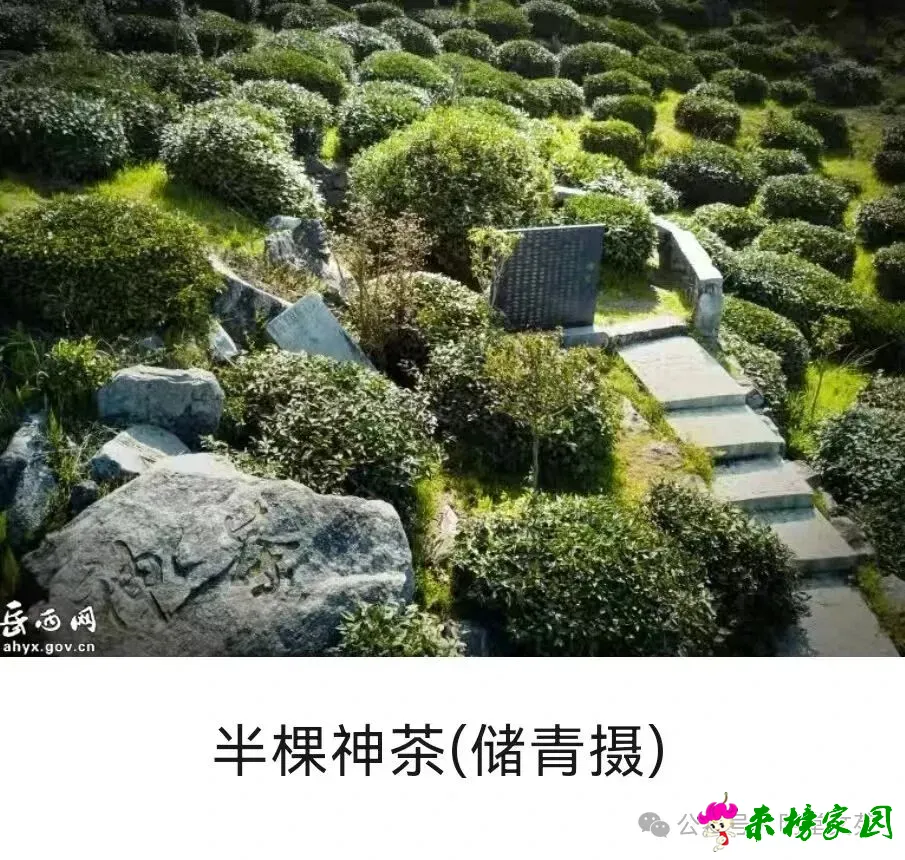 640 (2).webp