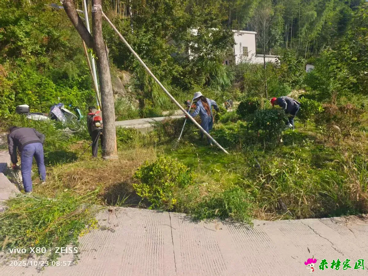 微信图片_20251023095048_1645_1.webp