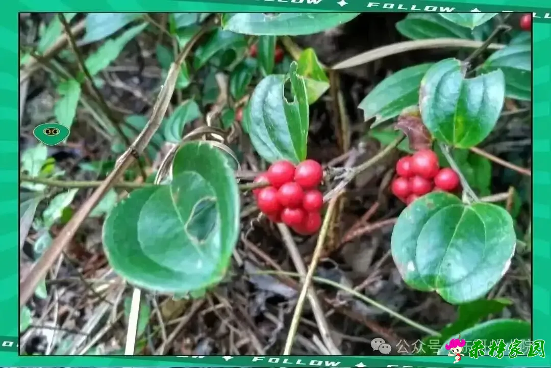 640.webp