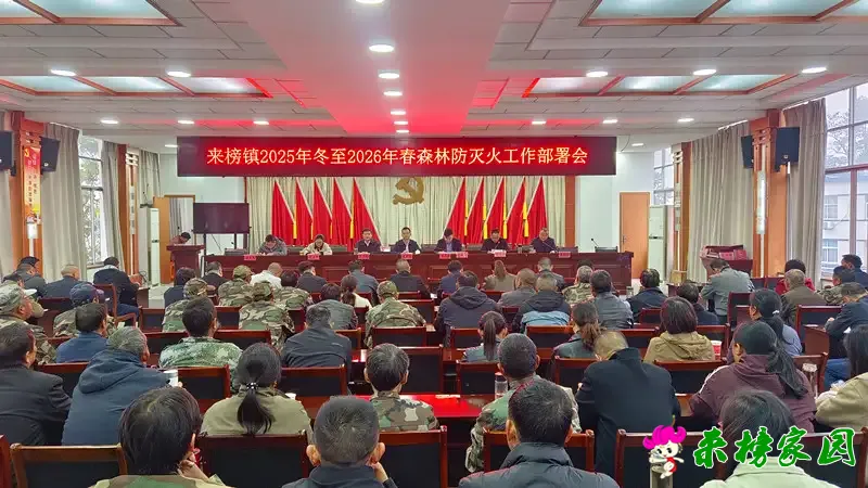 wanyun1761807668936.webp.webp wanyun1761807668936.webp.webp