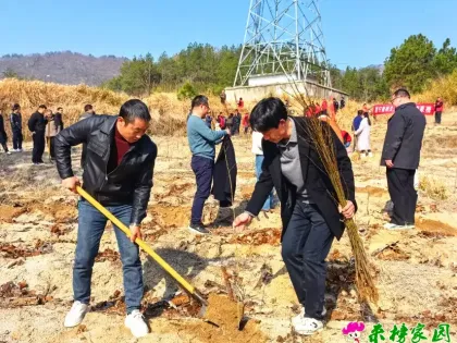 履行植树义务 共建魅力来榜