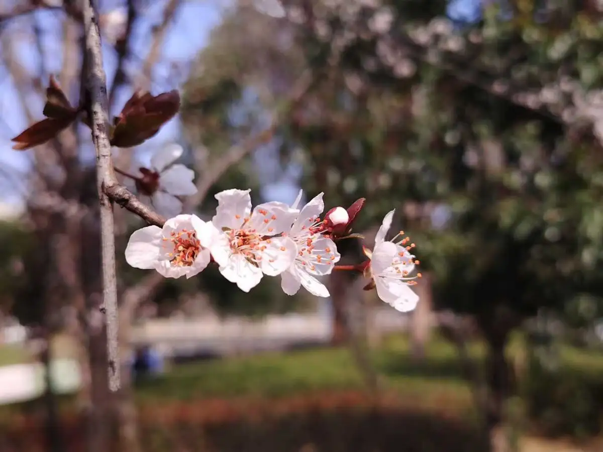 微信图片_2026-03-12_215101_394.webp