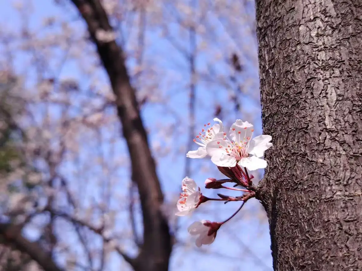 微信图片_2026-03-12_215115_250.webp